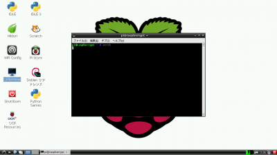 Raspberry Pi X-window